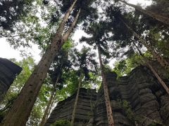 -梭布垭石林景区