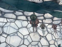 -水立方嬉水乐园