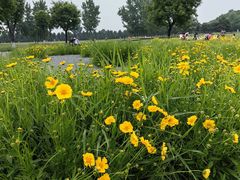 -汉长安城未央宫国家考古遗址公园