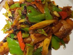 传统回锅肉-雲蜀龙阁·金牌水煮鱼(方庄店)