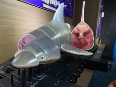 -成都浩海立方海洋公园