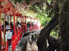 -横店影视城梦幻谷园区