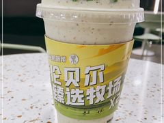 -茉酸奶(春熙路店)