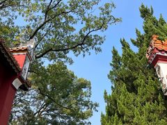 -南岳衡山风景名胜区-南岳大庙
