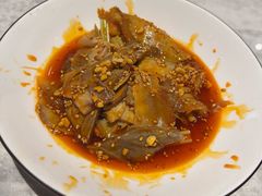 -天辣(金桥啦啦宝都店)
