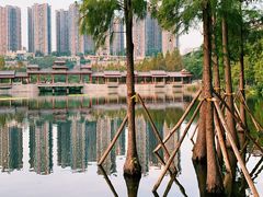 -重庆彩云湖湿地公园