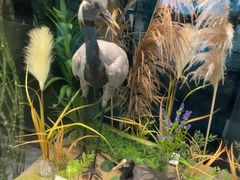 -天津市规划展览馆