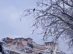 -布达拉宫