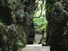 -山王坪喀斯特国家生态公园
