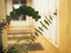 点击看大图 -Y+U遇瑜伽·普拉提