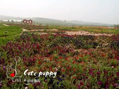 -北纬44度·金珠花海休闲农业旅游景区