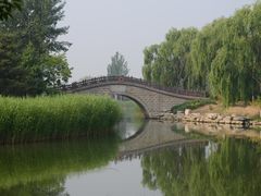 -大兴滨河森林公园