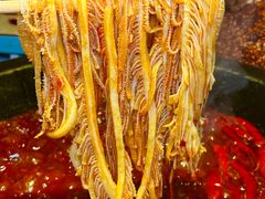 -蜀大侠火锅(总府路店)