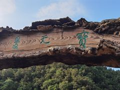 -内乡宝天曼生态旅游区