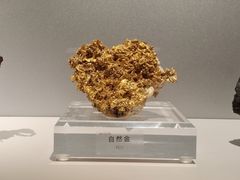 -中国地质博物馆