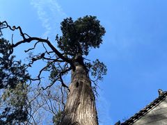 -终南山南五台景区