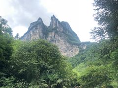 -鹿院坪生态旅游景区