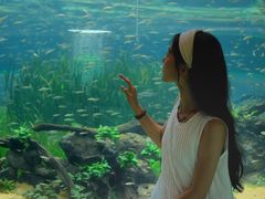 -海合安成都极地海洋公园
