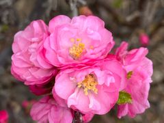 -长春公园(普阳街道)