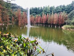 -广州市帽峰山景区