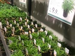 -鹿岛会员店 (龙湖三千集天街店)