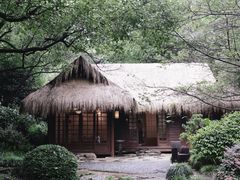 -中国茶叶博物馆(双峰馆区)