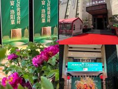 -洛阳宴·洛阳菜(南昌路店)