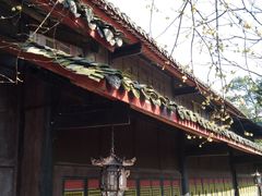 -峨眉山报国寺