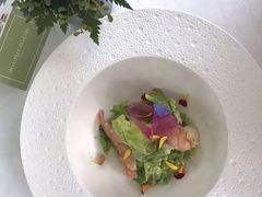 -蝶舍·MAISON PAPILLON