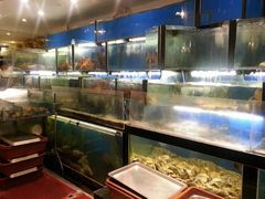 水产区-顶鲜101美食美景餐厅