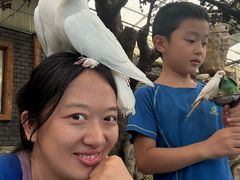 -西霞口神雕山野生动物世界