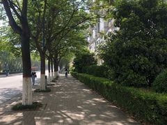 -西安外国语大学-学生食堂(栾树大道店)