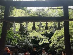 -野宫神社