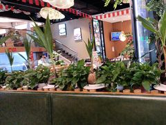 -龙泉人椰子鸡(龙昆南店)
