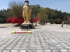 -冶父山国家森林公园