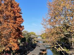 -乌镇景区