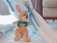 -上海浦东嘉里大酒店