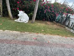 -亚龙湾海底世界