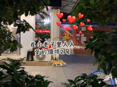 -Poke lemon海鲜波奇饭·柠檬茶(金碧开放小区店)