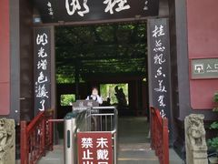-桂湖森林公园