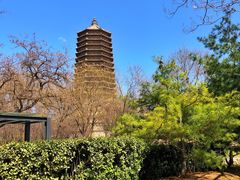 -玲珑塔公园