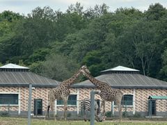 -哈尔滨北方森林动物园