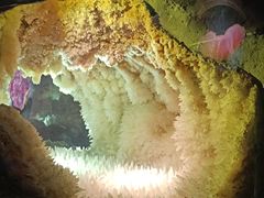 -湖南省地质博物馆