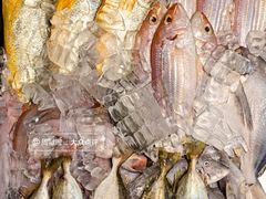 -陆记鹅庄·潮汕菜·狮头鹅(大仟里店)