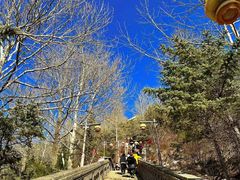 -五台山风景名胜区