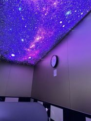 -YESIDO椰岛造型