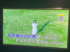 -V-SHOW主题KTV(新城店)