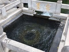 -百脉泉景区