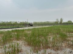 -永定河休闲森林公园