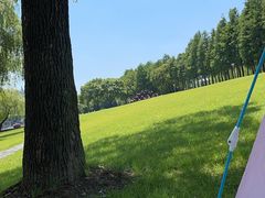 -上海月湖雕塑公园
